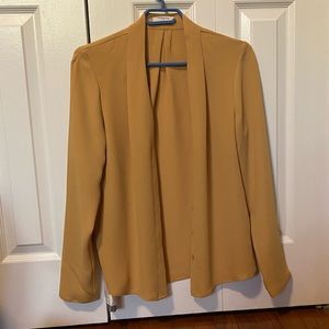 Button down shirt from Aritzia